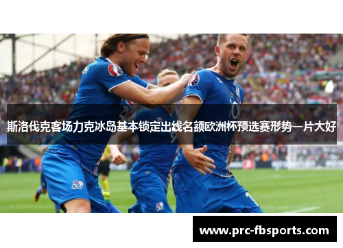 斯洛伐克客场力克冰岛基本锁定出线名额欧洲杯预选赛形势一片大好