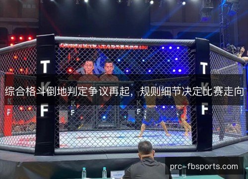综合格斗倒地判定争议再起，规则细节决定比赛走向